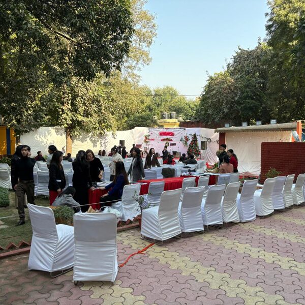 lawn for party