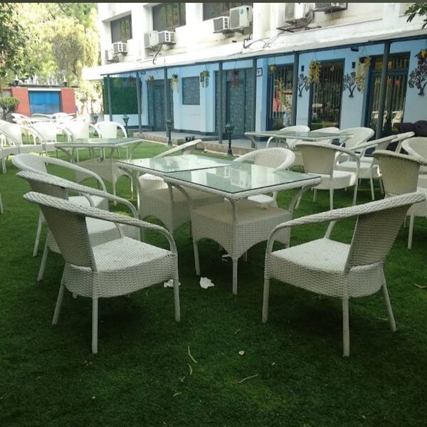 lawn for party