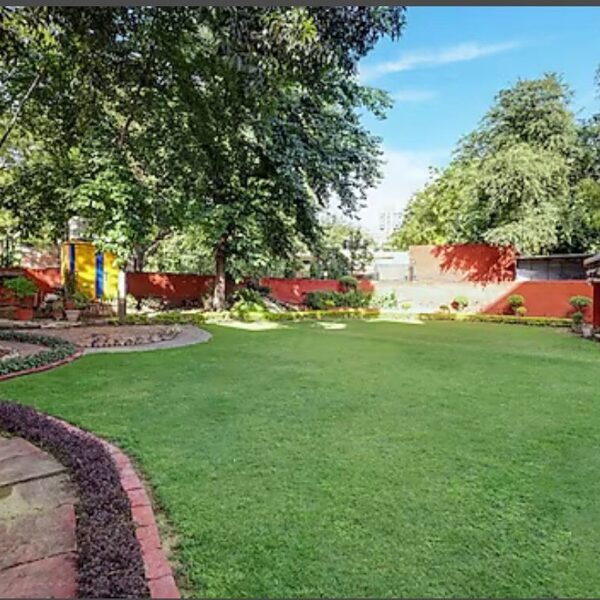 Lawn Area