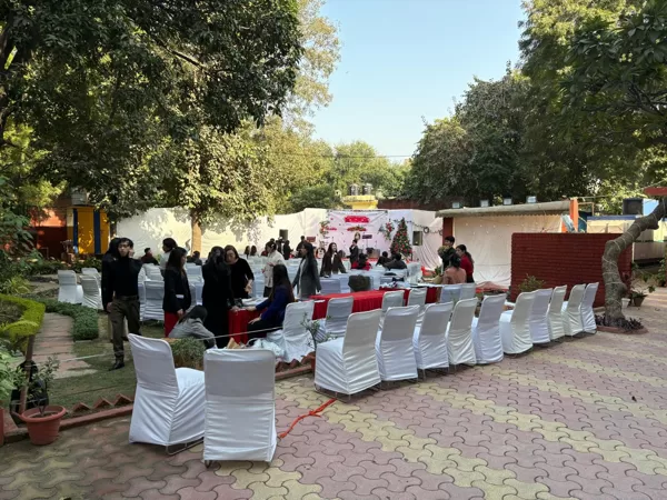 lawn for party