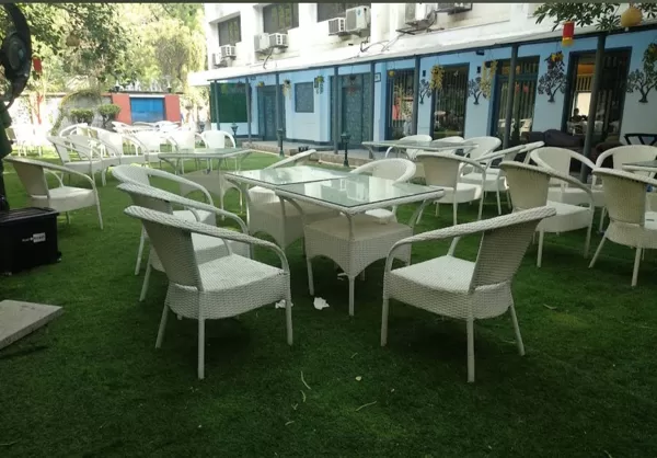 lawn for party