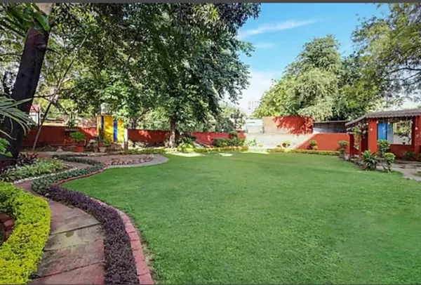 Lawn Area